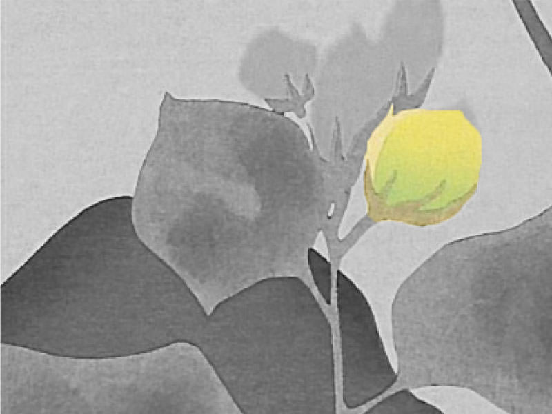 Miscelaneas primaverales-Natsume Soseki - Satori-800x600